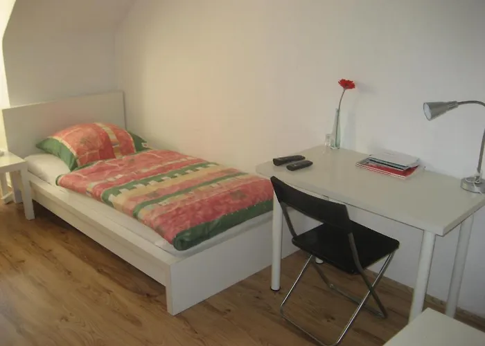 招待所 霍夫曼酒店 2*