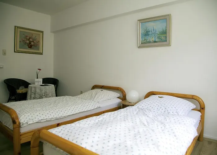 招待所 霍夫曼酒店 2*